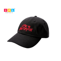 Fantastic Life Bold Stitch Cap