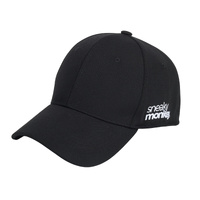 Sneaky Monkey Embroidered Baseball Cap