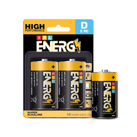 D Alkaline battery 2 PC