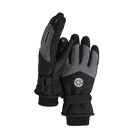 ArcticFlex Ski Gloves | Black & Grey