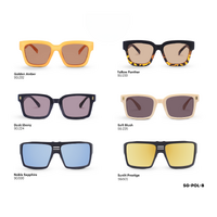 Polar Vista Collection (NEW)