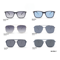 Sun Savvy Polarized (NEW)