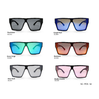 Bold Line Series Sunglasses