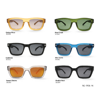Sage Grove Series Sunglasses