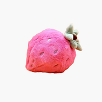 Pink Strawberry Delight Toy