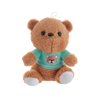 T-Shirt Teddy Bear
