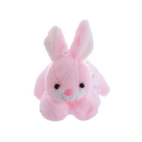 Adorable Bunny 