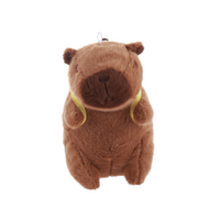 Cute Capybara 