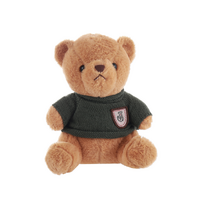 Sweater Teddy Bear 