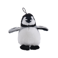 Cute Penguin 