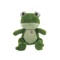 Big Eyes Frog
