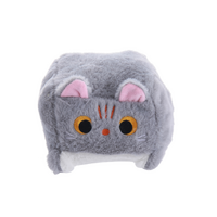 Cube Cat 