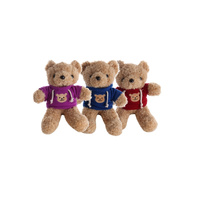 Hoodie Hugs Bear | Assorted