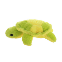 Adorable Ocean Turtle