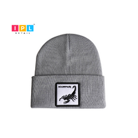 Sleek Grey Fisherman Beanie