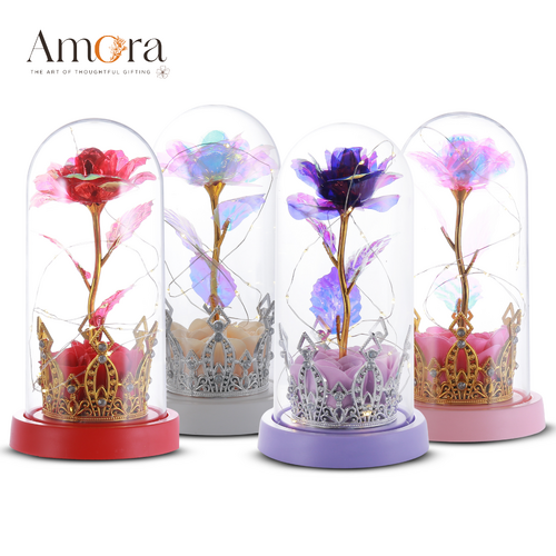 Enchanted Rose Acrylic Dome | Assorted