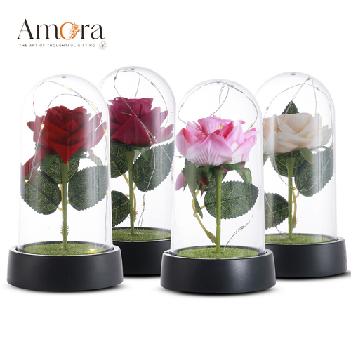 Mystic Bloom Acrylic Dome | Assorted