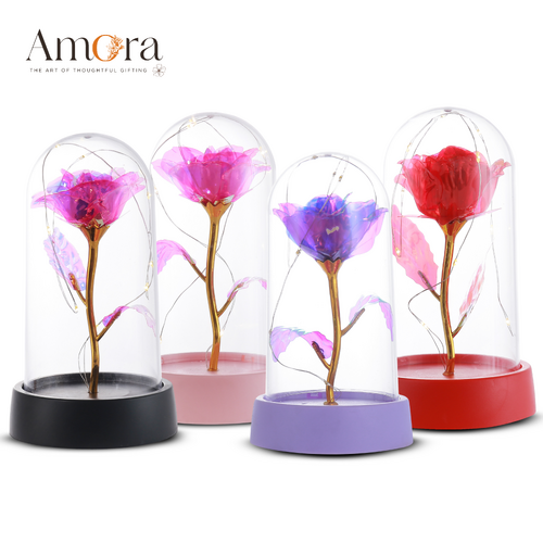 Timeless Rose Acrylic Dome | Assorted