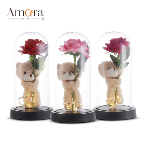 Teddy Love Acrylic Dome | Assorted