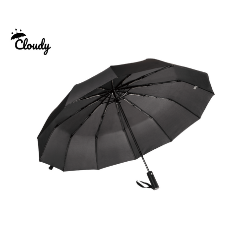 Premium Auto Open Umbrella | 23 Inches