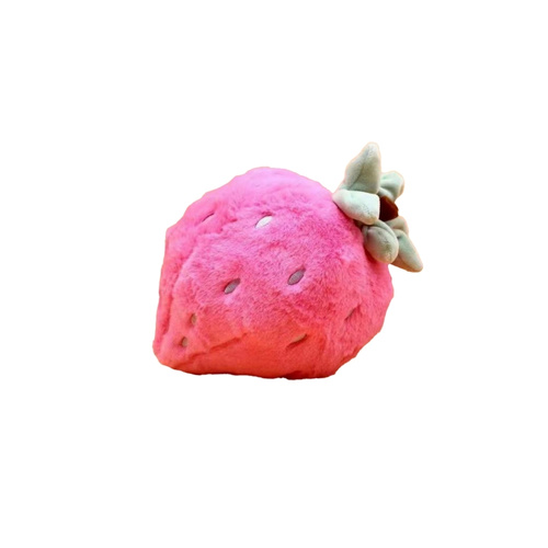 Pink Strawberry Delight Toy