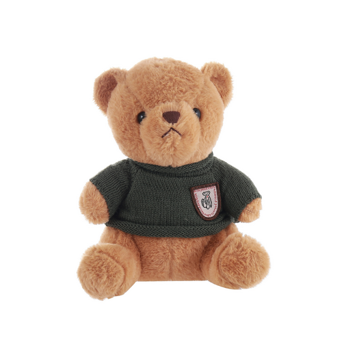 Sweater Teddy Bear 