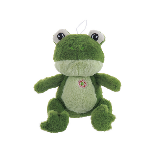 Big Eyes Frog