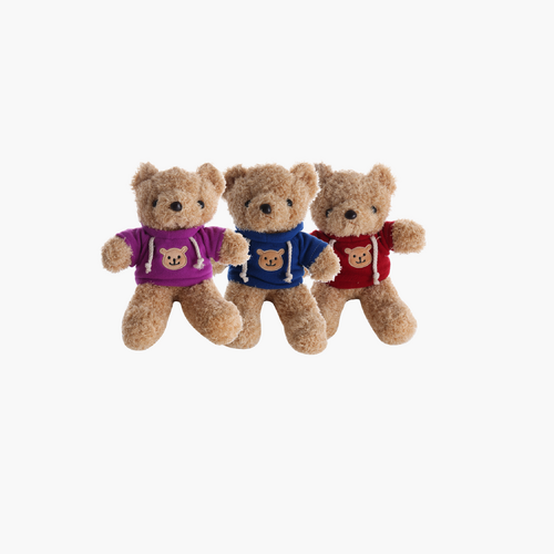 Hoodie Hugs Bear | Assorted