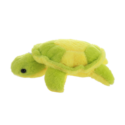 Adorable Ocean Turtle