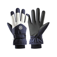 Boost Your Winter Accessories Range with Ski Gloves for Every Customer main image